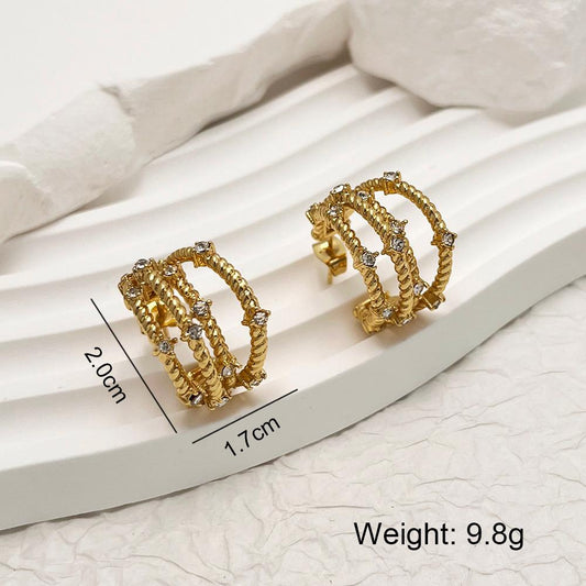 Earrings